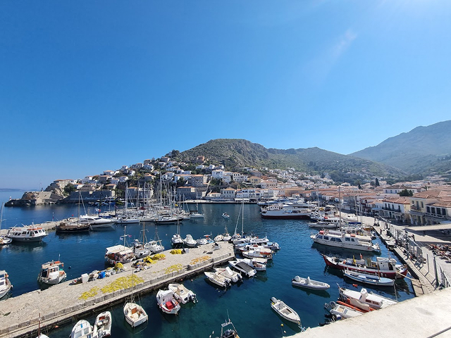 Hydra