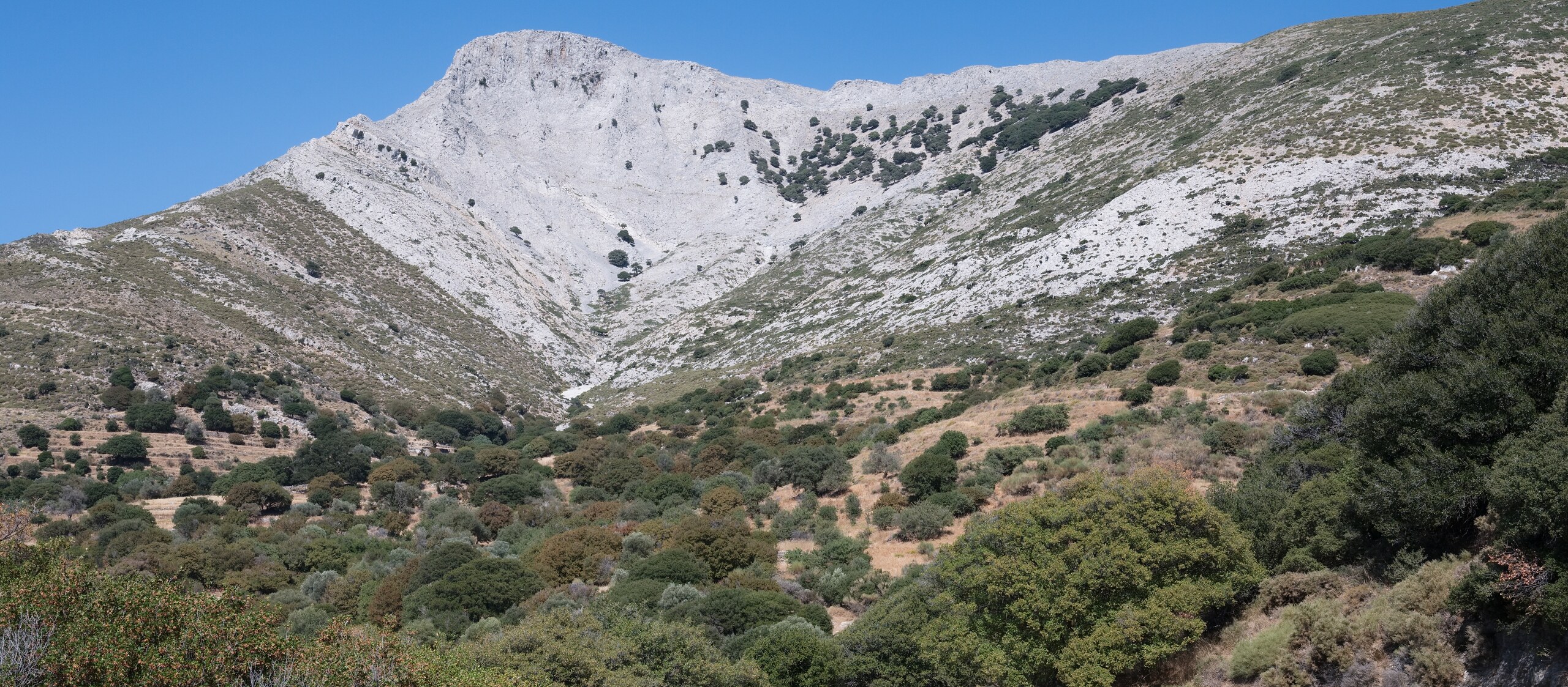 Naxos